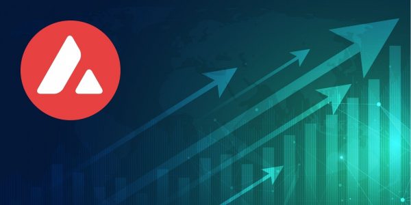 Les premiers investisseurs d'AVAX génèrent des gains de +2000%