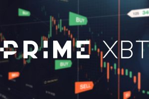 Prime XBT Covesting, le copy trading à la portée de tous
