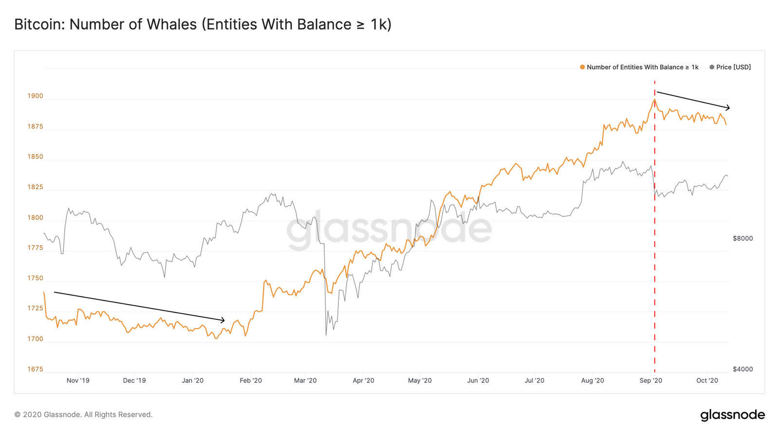 Bitcoin BTC nombre de whales