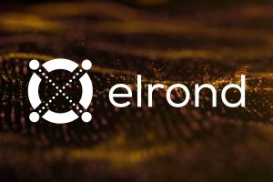 Elrond lance l'eGold (EGLD) : une version numérique de l'or ?