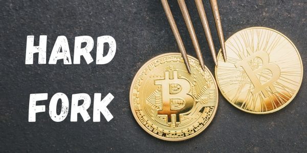 Hard fork du Bitcoin Cash (BCH) : qui gagnera la bataille ?