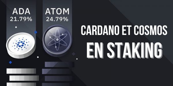 Cardano ADA Cosmos ATOM staking