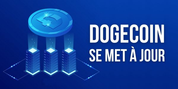 Dogecoin (DOGE) se met à jour – L’enthousiasme va-t-il durer ?