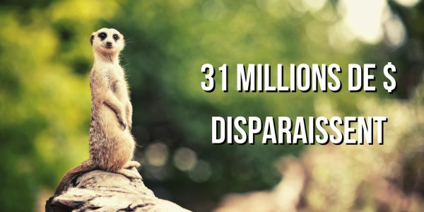 Exit scam : les créateurs du protocole Meerkat Finance disparaissent avec 31 millions de dollars