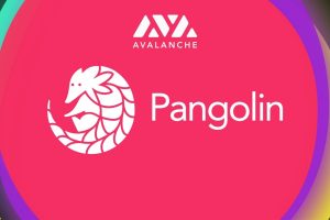 Pangolin : comment farmer des PNG sur le premier DEX d'Avalanche ?