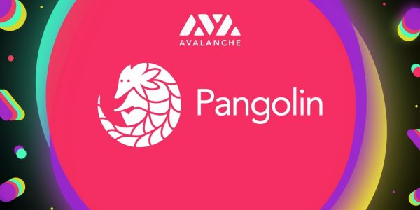Pangolin : comment farmer des PNG sur le premier DEX d'Avalanche ?