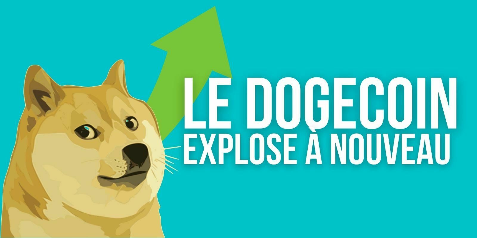 Le Dogecoin (DOGE) atteint un nouveau record absolu et devient la 8e cryptomonnaie la plus capitalisée