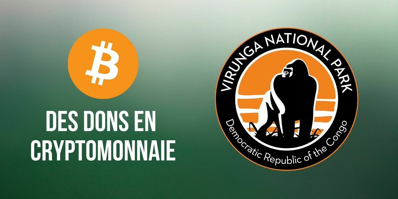 Le parc national des Virunga accepte désormais les dons en cryptomonnaie
