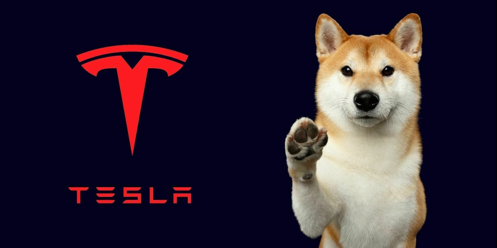 Dogecoin Tesla