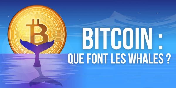 Bitcoin (BTC) — Pourquoi les whales ont-elles accumulé pendant le krach ?