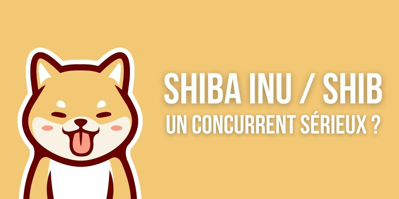 Qui est Shiba Inu (SHIB), le concurrent au Dogecoin qui fait polémique sur Binance ?