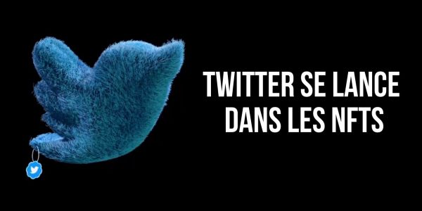 Twitter rejoint le mouvement des NFTs et en distribue 140 à ses utilisateurs