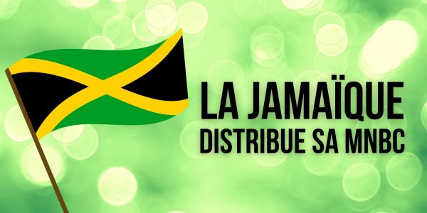 La Jamaïque commence à distribuer sa monnaie numérique de banque centrale (MNBC)