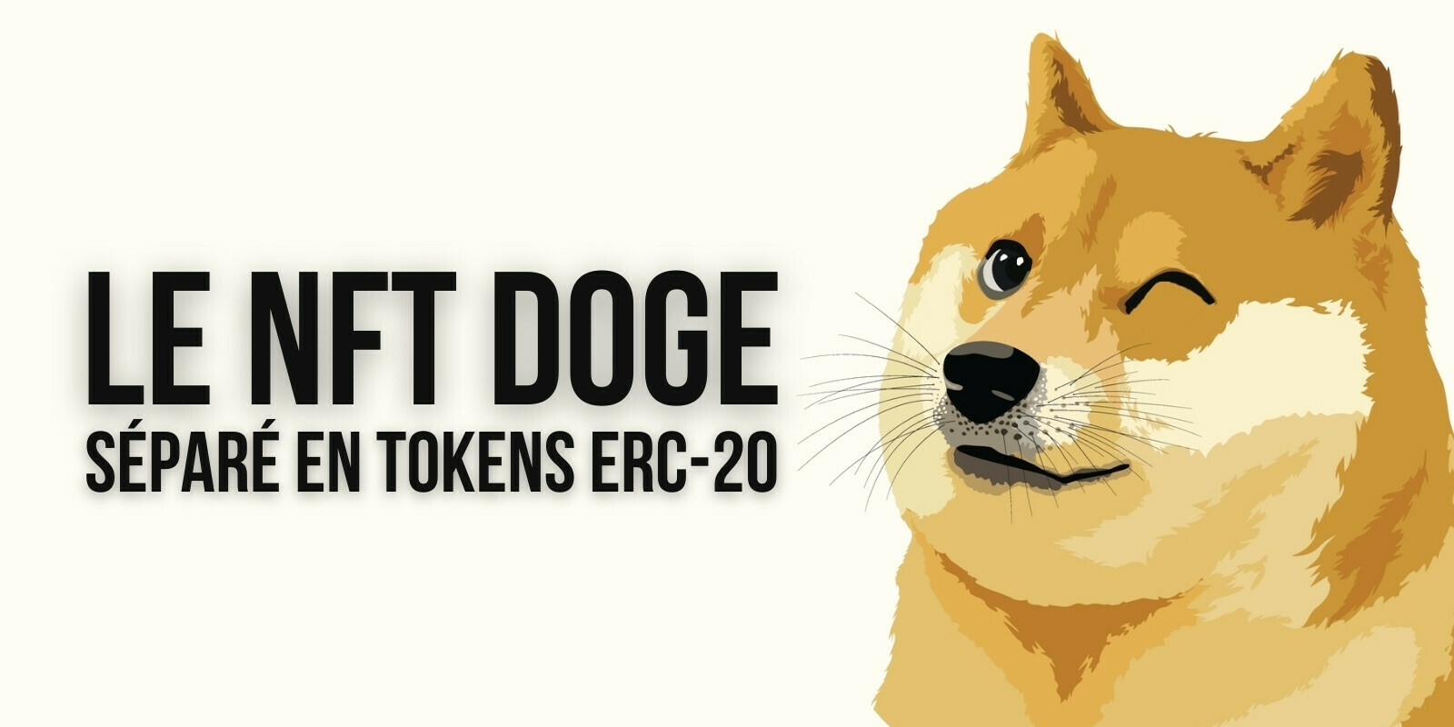Pourquoi le NFT « Doge » vient-il d’être séparé en 17 milliards de tokens ERC-20 ?