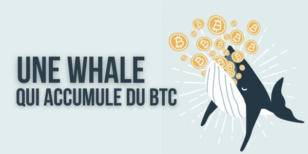 La 3e plus grosse whale en Bitcoin profite du dip pour acheter 23 millions de dollars de BTC