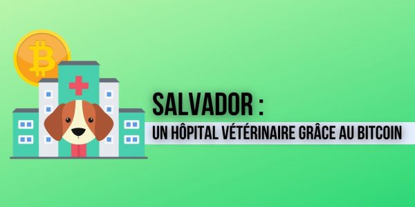 Le Salvador va construire un hôpital pour animaux avec les bénéfices générés par le Bitcoin (BTC)