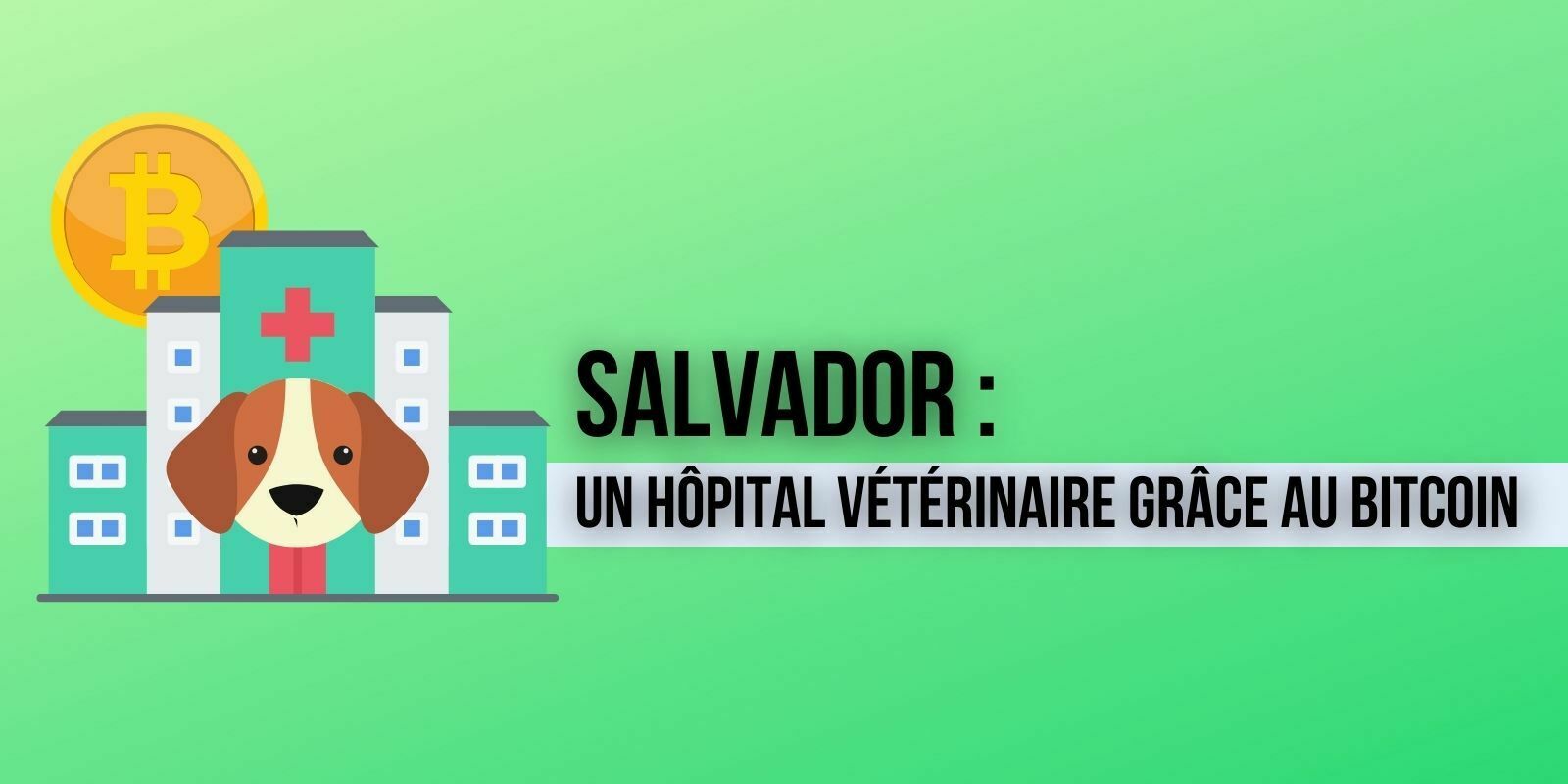 Le Salvador va construire un hôpital pour animaux avec les bénéfices générés par le Bitcoin (BTC)