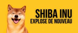 Le cours du Shiba Inu (SHIB) explose de nouveau : +214% sur la semaine