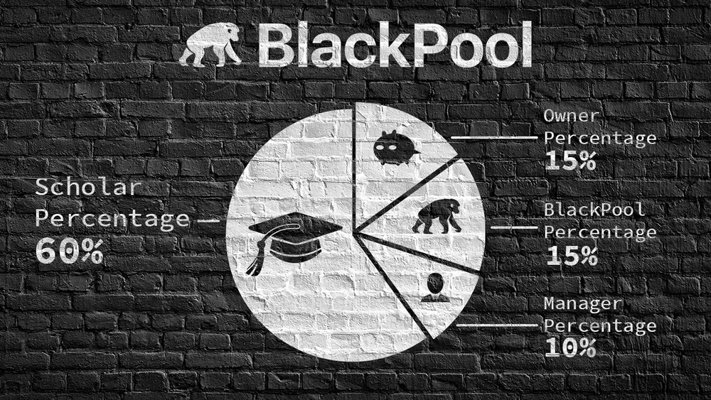BlackPool Academy