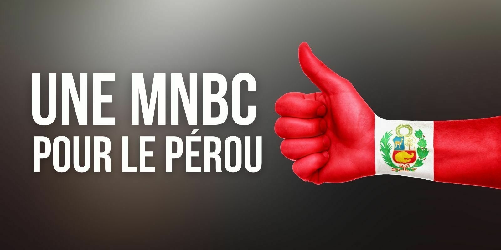 Le Pérou va lancer sa MNBC en partenariat avec Singapour, Hong-Kong et l'Inde