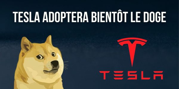 Elon Musk : Tesla prévoit d'accepter les paiements en Dogecoin (DOGE) pour certains produits