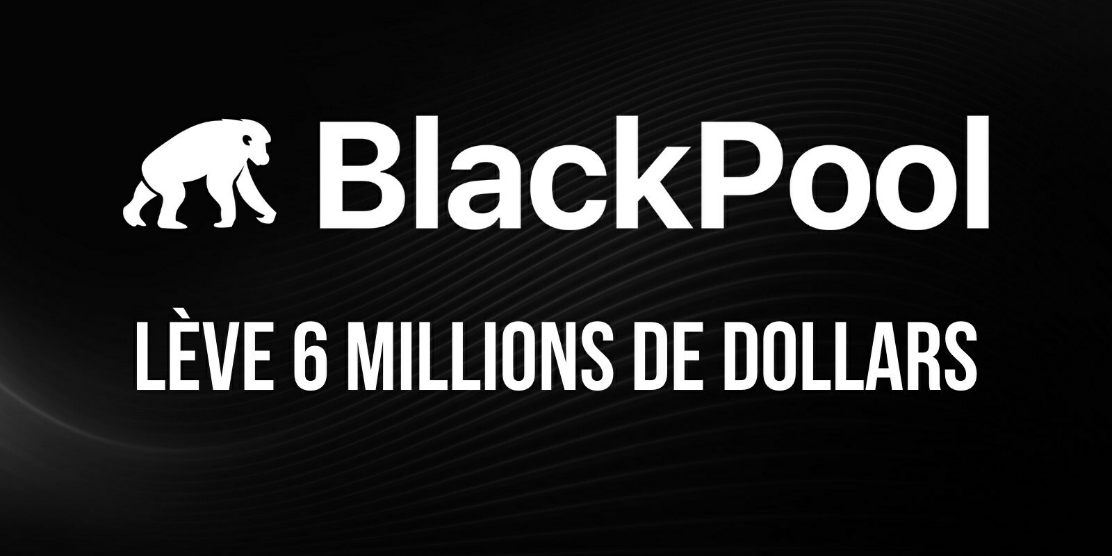 Le fonds décentralisé BlackPool lève 6 millions de dollars pour continuer sa conquête des metaverses