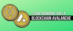 Le stablecoin USDC débarque sur la blockchain Avalanche (AVAX)