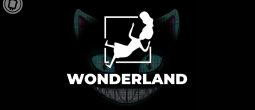 Wonderland (TIME) s'effondre, le cofondateur accusé d'être un ex-criminel et d'avoir détourné 450 millions de dollars