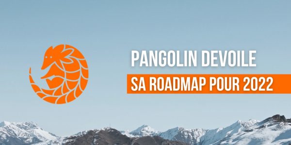 L'exchange Pangolin (PNG) publie sa roadmap pour le début d'année 2022