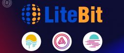 La plateforme LiteBit liste 3 nouveaux tokens de l'écosystème Polkadot (DOT)