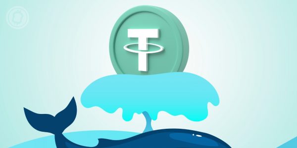 Les stablecoins Tether (USDT) et USD Coin (USDC) sont largement dominés par les whales