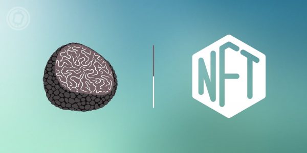 Une truffe noire géante s'est vendue 8 750 euros sous forme de NFT