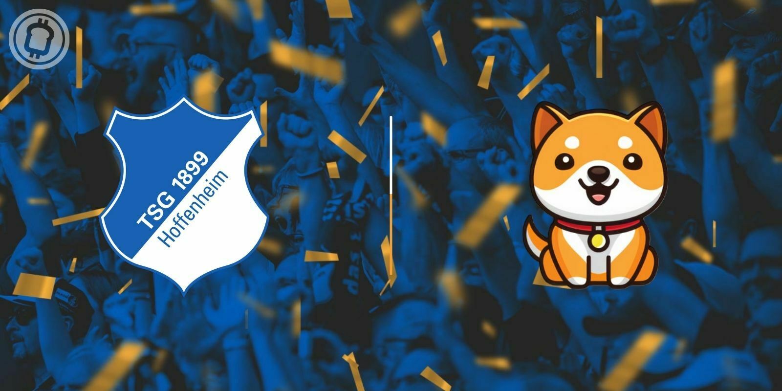 Le TSG Hoffenheim signe un contrat de sponsoring avec le Baby Doge Coin