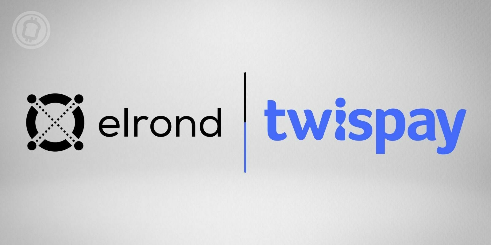 Elrond Network (EGLD) achève l'acquisition de l'institution de paiement Twispay