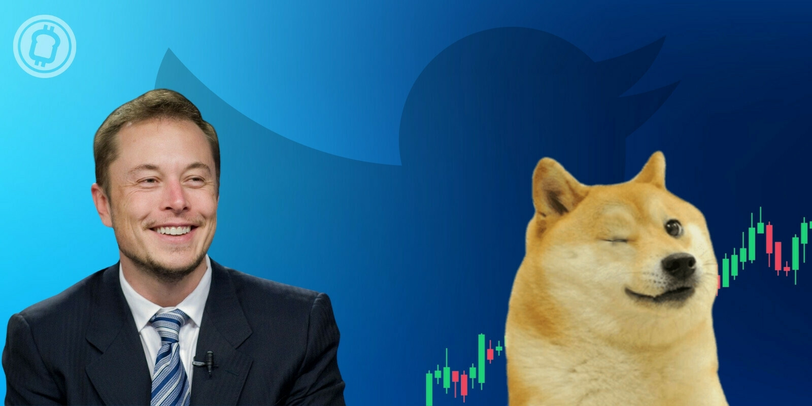 Elon Musk rachète Twitter, le cours du Dogecoin (DOGE) explose