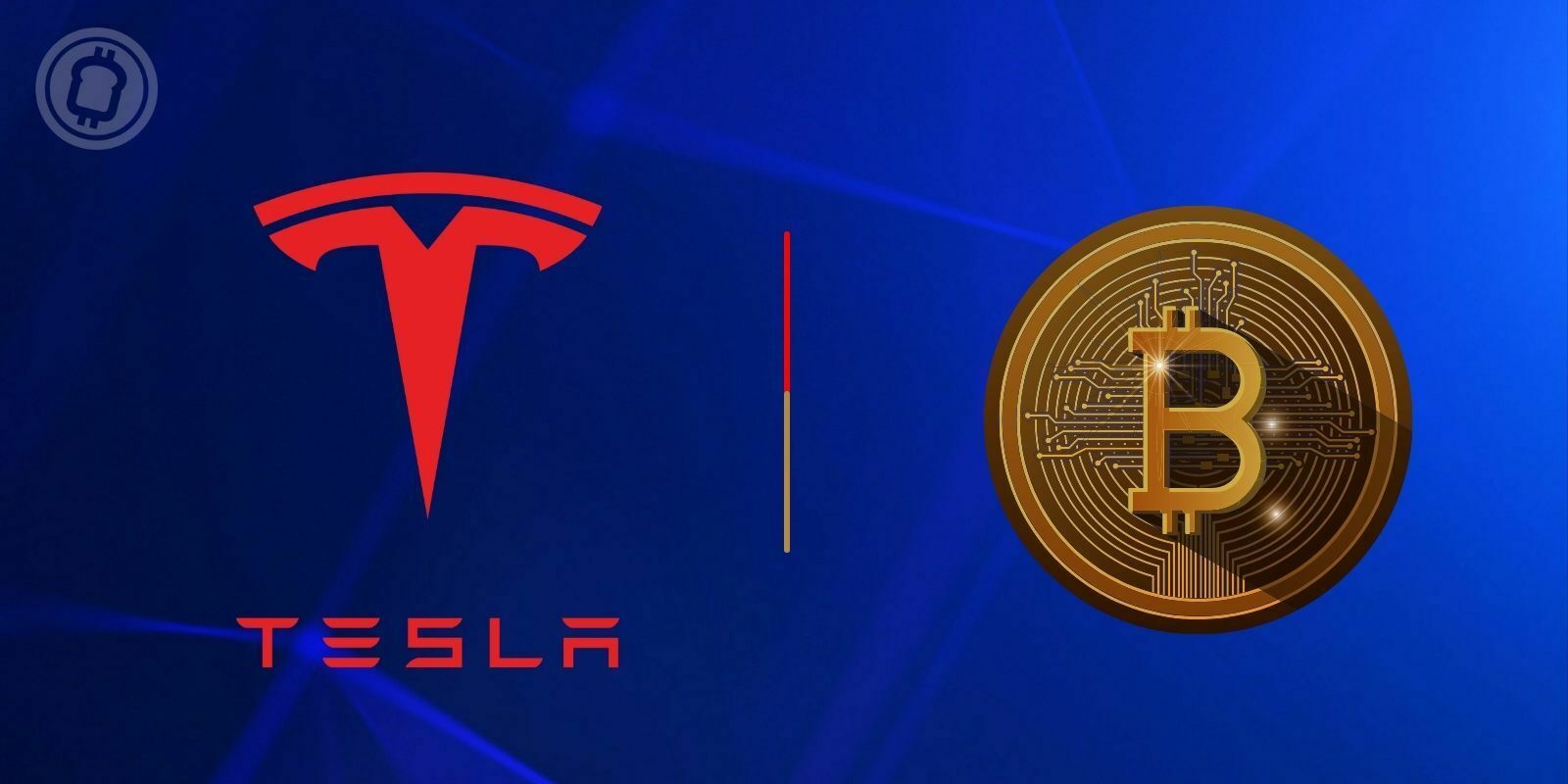Tesla estime que la cryptomonnaie est une alternative à l'argent liquide