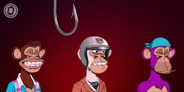 Le serveur Discord du Bored Ape Yacht Club (BAYC) hacké, 32 NFTs se font subtiliser