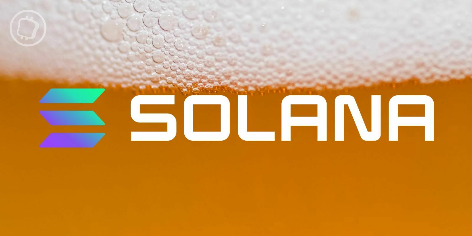 Solana Summer Shandy : la bière aux plus de 40 références Web3 et NFTs