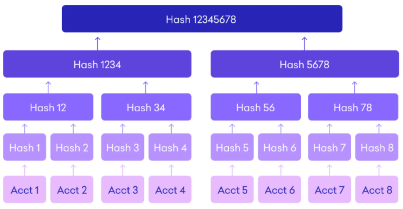 Illustration d'un Merkle Tree