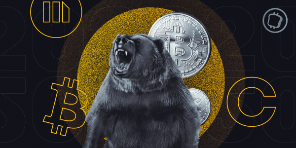 Bilan 2022 : comment les entreprises crypto ont-elles traversé le bear market ?