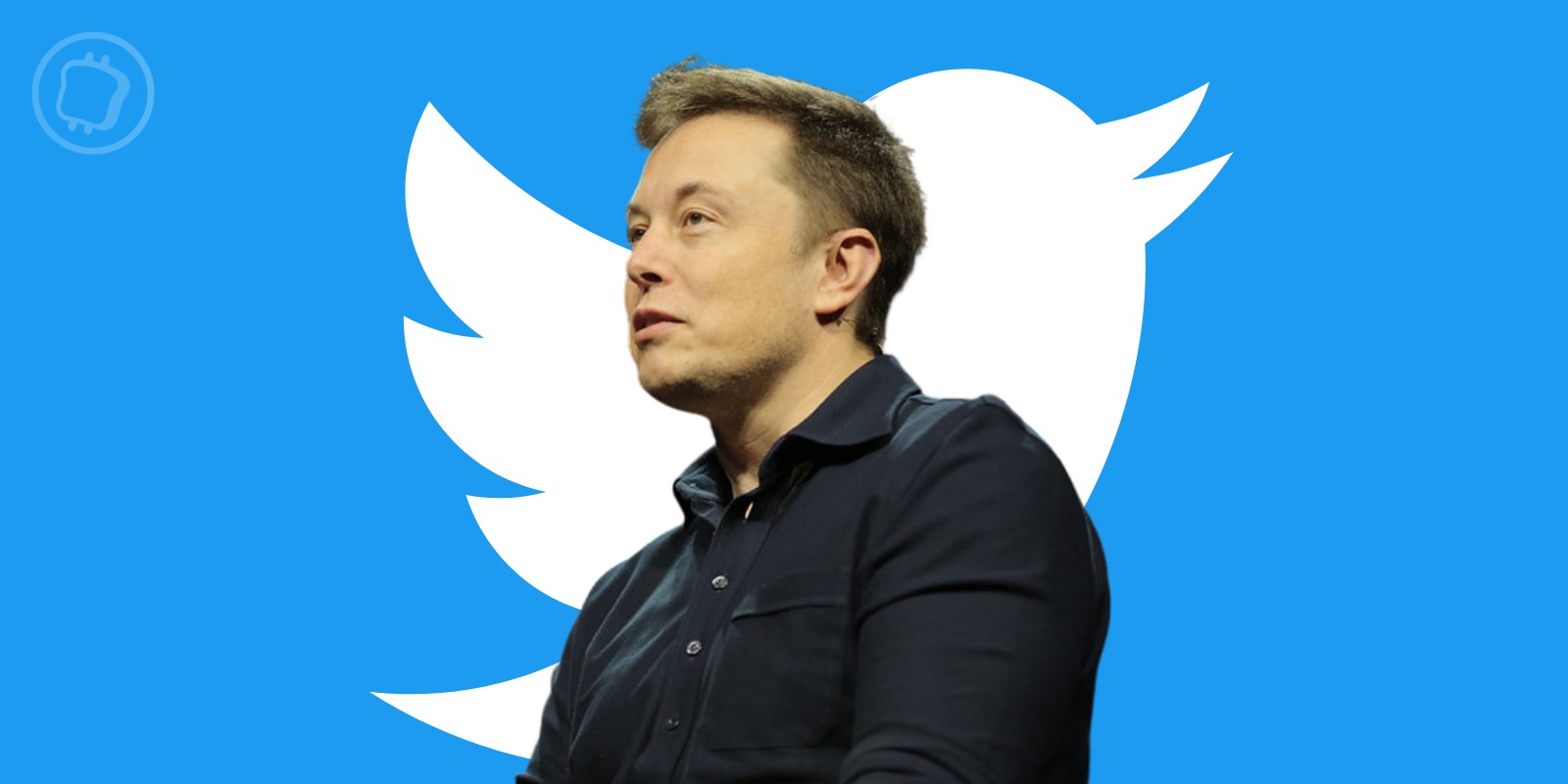 Paiements en cryptomonnaies sur Twitter – Quels sont les plans d’Elon Musk ?