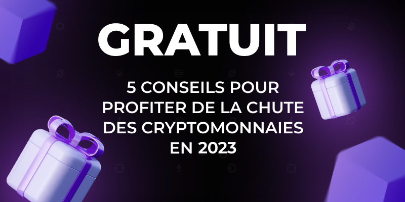 guide-gratuit-5-conseils-2023