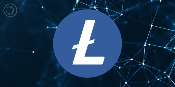 Ordinals sur Litecoin (LTC) : le nombre de transactions explose