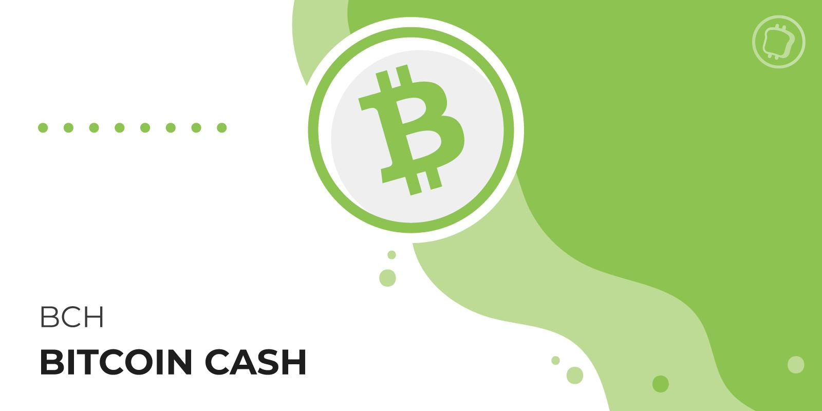 Qu'est-ce que Bitcoin Cash (BCH) ? Cette cryptomonnaie qui revendique le trône du Bitcoin