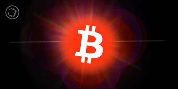 Bitcoin (BTC) : Ordinals et BRC-20 représentent plus de la moitié des transactions du réseau