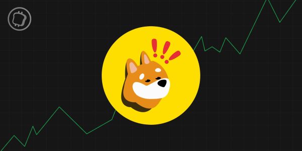 Retour des memecoins ? Le token BONK explose à la hausse et oscille autour des 2 milliards de dollars de capitalisation