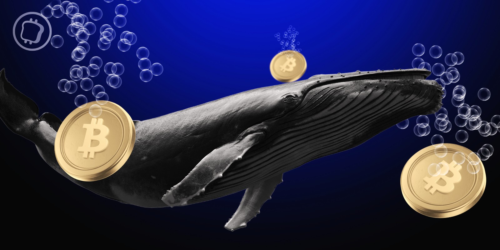 Des baleines achètent de nouveau en masse des bitcoins
