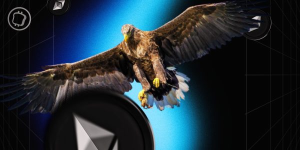 L'ETF Ethereum spot de Fidelity est repoussé – Réponse finale au mois de mai ?