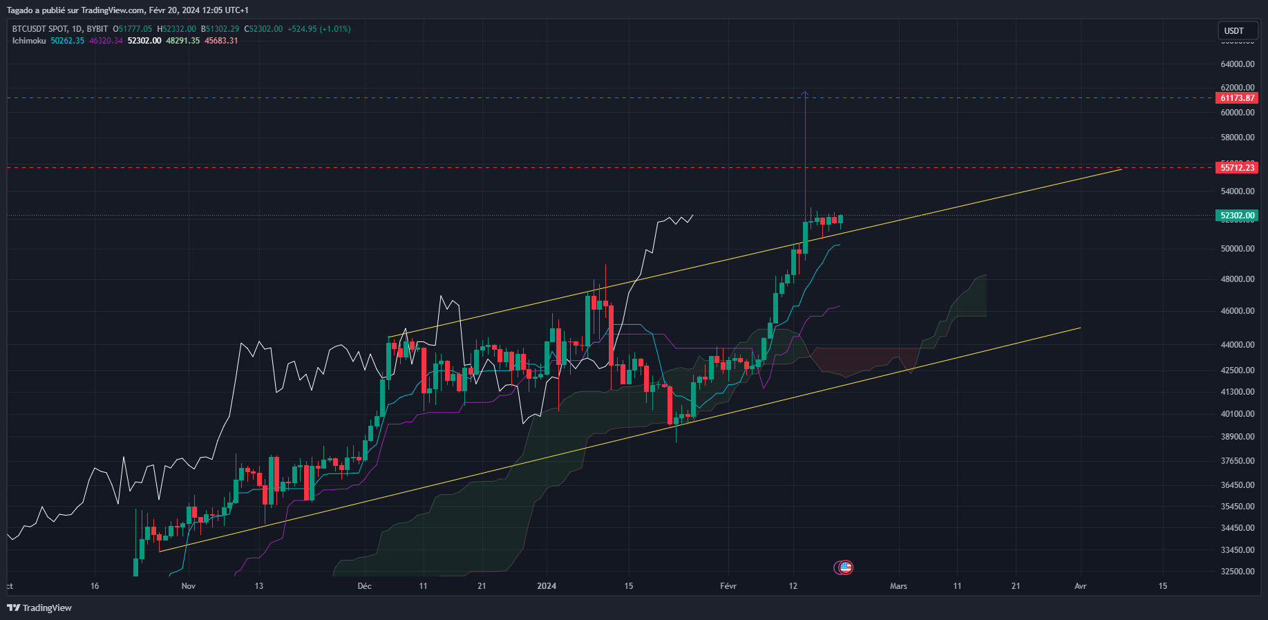 Graphique du cours du Bitcoin en Journalier (Daily)