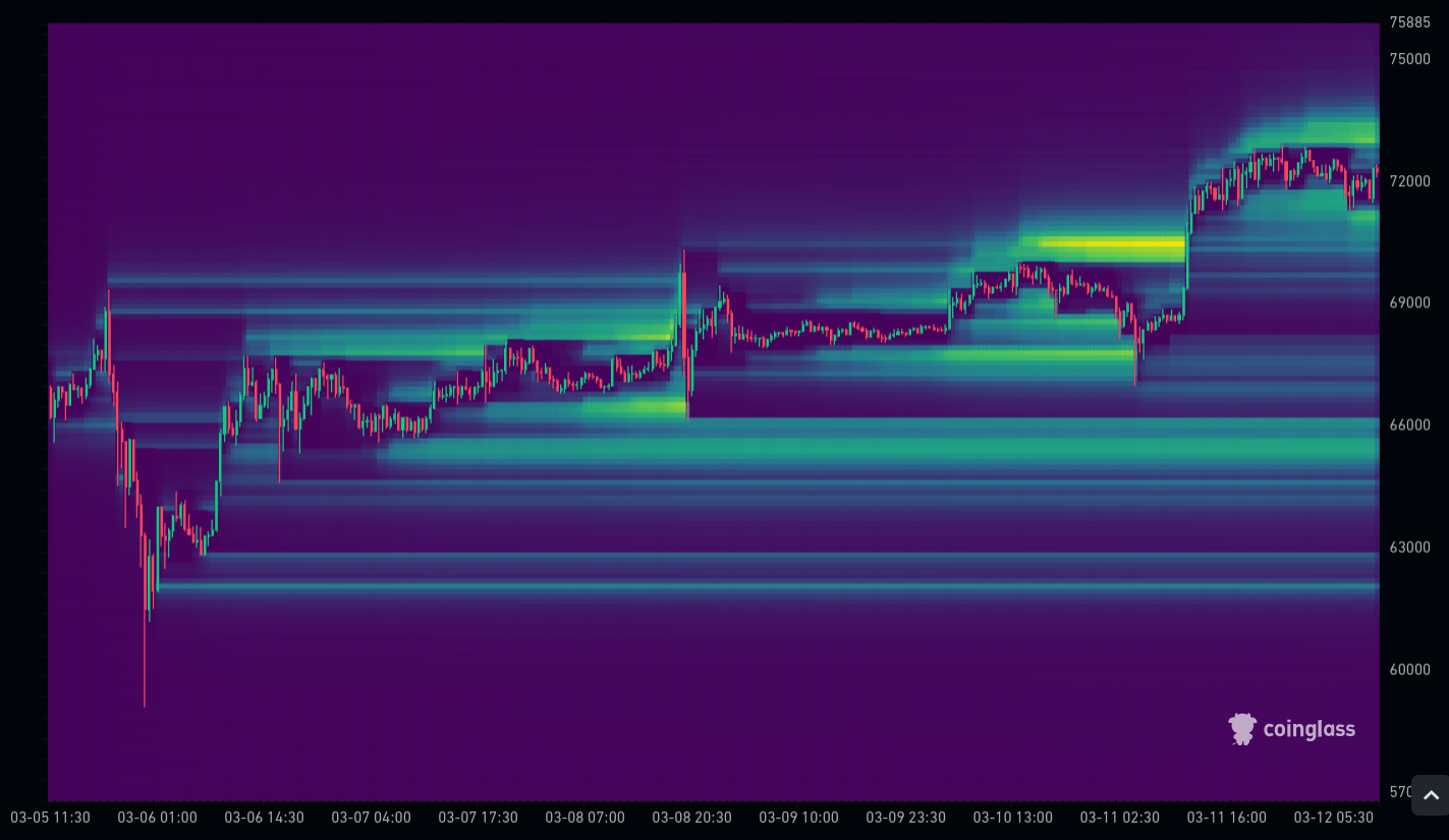 BTC Liqs